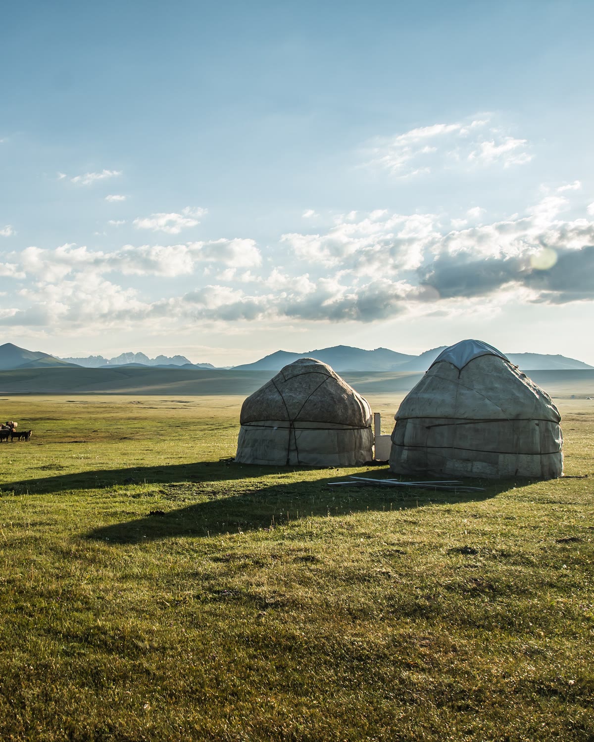 Two felt yurts on a wide green plain in Kyrgyzstan, with mountains behind